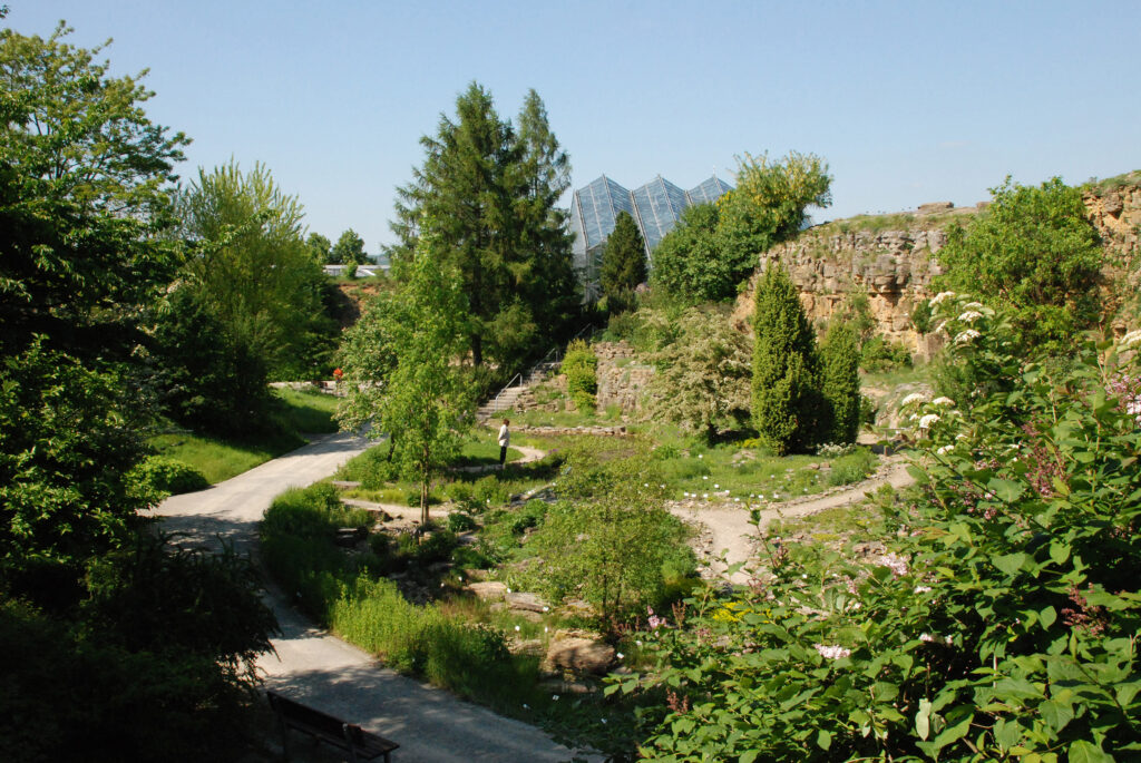Botanischer Garten Osnabrück